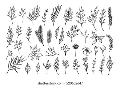 Hand drawn vector winter elements ( laurel, leaf, poinsettia, holly, fir and pine branches, berry, flower). Christmas design objects. Perfect for invitations, greeting cards, posters, prints