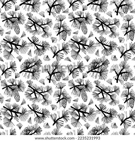Hand drawn vector winter evergreen branches with  pine and fir branches, vector evergreen plant, Christmas tree and pine branch. Black silhoettes islated on white backgrond. Winter nature illustration