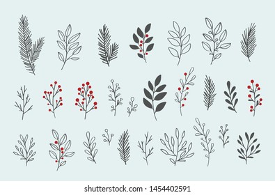 Hand drawn vector winter floral elements. Winter branches and leaves. Hand drawn floral elements. Vintage botanical illustrations. 