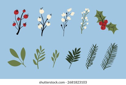 Hand drawn vector winter floral elements. Winter branches and leaves with red and white berries. Vintage botanical illustrations.