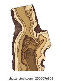 Hand drawn vector wood slab