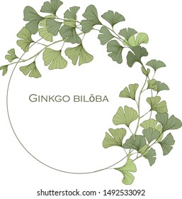 Hand drawn vector wreath of Ginkgo biloba leaves.