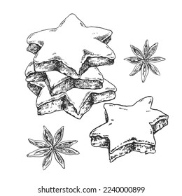 Hand drawn vector Zimtsterne illustration. Traditional Germany Christmas star cookies with almond and sugar. Sweet holiday dessert template for menu, ad, label design
