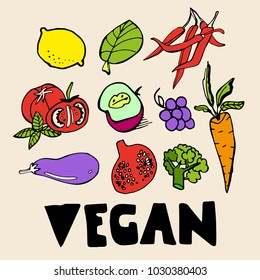 Hand drawn vegan food elements. Set for menu decoration. Cartoon. Simple stylized forms.