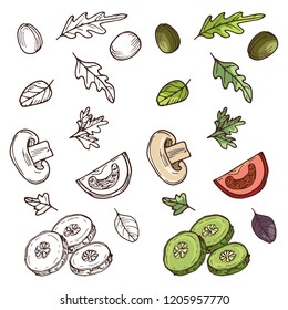 Hand drawn vegan salad ingredients. Tomato, cucumber, olives, greens isolated on white background. Vector illustration