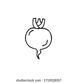 Hand drawn vegetable beet icon isolated on white background. Concept for farmers market, organic food, grocery store, cafe, restaurant.  Natural product, vegetarian, fresh, natural, design
