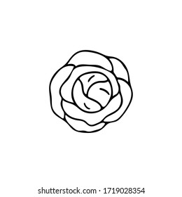 Handgezeichnete Gemüsekohl-Symbol einzeln auf weißem Hintergrund. Konzept für Bauern Markt, Bio-Lebensmittel, Lebensmittelgeschäft, Café, Restaurant.  Naturprodukt, vegetarisch, frisch, natürlich, Design