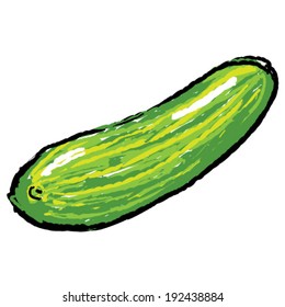 A hand drawn vegetable - cucumber.