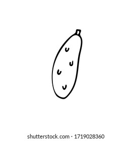 Icono de pepino vegetal dibujado a mano aislado en fondo blanco. Concepto para el mercado de los agricultores, comida orgánica, tienda de comestibles, cafetería, restaurante.  Producto natural, vegetariano, fresco, natural, diseño