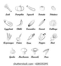 Hand drawn vegetable icon set