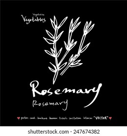 Hand drawn vegetable illustration - vector
