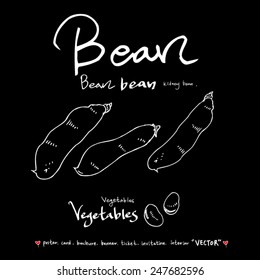 Hand drawn vegetable illustration - vector