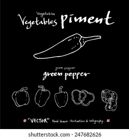 Hand drawn vegetable illustration - vector