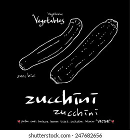 Hand drawn vegetable illustration - vector
