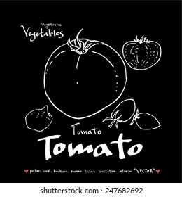Hand drawn vegetable illustration - vector