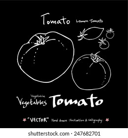 Hand drawn vegetable illustration - vector