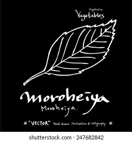 Hand drawn vegetable illustration - vector
