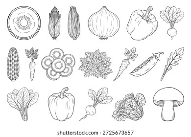 Hand Drawn Vegetable Line Art Set, Black and White Botanical Vegetable Illustration