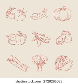 Handgezeichnete Gemüsesymbole mit Tomate, Chili, Kürbis, Avocado, Karotte und Kohlskizze