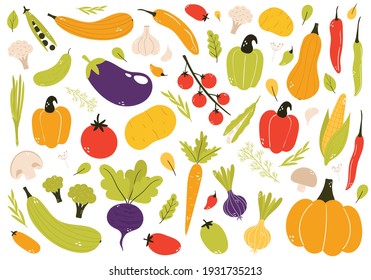 Hand drawn vegetable set, cartoon style vector illustration isolated on white background. Fresh, organic, delicious vegetables, healthy vegetarian food. Vegan menu. Tomato, eggplant, pumpkin, garlic..