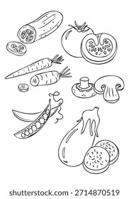 Hand drawn vegetable set with cucumber tomato carrot mushroom pea pod and eggplant isolated on white background in vector style. Concept of healthy food, organic farming and plant based nutrition