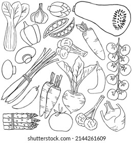 Hand drawn vegetable set in doodle art style on white background