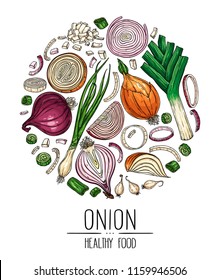 Hand drawn vegetable set of isolated onion, slices, halves, green onion and leek arranged in a circle. Vegetarian food design for shop, book, menu, poster, banner. Vector sketch illustration.