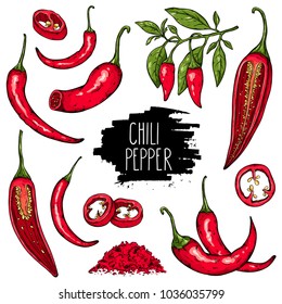 Hand drawn vegetable set of mexican hot pepper chili, slices, halves, crushed pieces and branch of peppers. Vegetable isolated on white background with label. Vector sketch illustration.