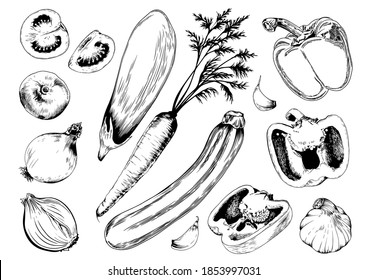 Hand drawn vegetable set. Sketch collection of tomato, zucchini, eggplant and bell pepper. Black and white vector illustration.