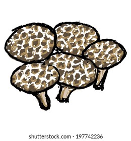 Hand drawn vegetable - shitake mushrooms.