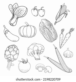 Fondo de dibujo vegetal dibujado a mano