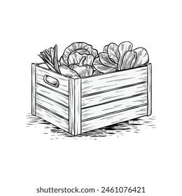 caja de madera vegetal dibujada a mano e ilustración de colección vegetal