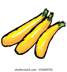 A hand drawn vegetable - yellow zuchinni.