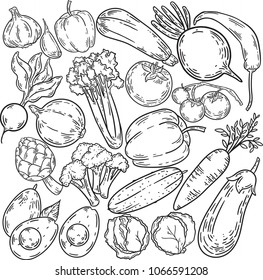 Hand drawn vegetables 