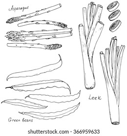 verduras extraídas a mano, espárragos, judías verdes y puerros, ilustración portadora de alimentos