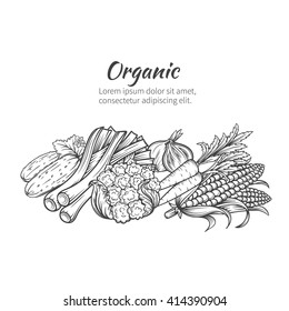 Hand drawn vegetables banner with cucumber, onion, cabbage, carrots, corn. Vector illustration vegetables in old ink style.