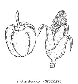 Hand drawn vegetables - bell pepper and corn