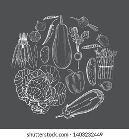 Hand drawn vegetables in a circle on grey  background. Vector sketch  illustration.
