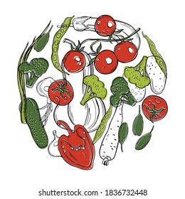 Hand drawn vegetables in a circle. Vector sketch  illustration.  