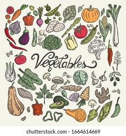 Colección de verduras a mano