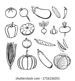 Hand drawn vegetables collection, isolated elements on the white. Vector illustration. 