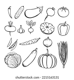 Hand drawn vegetables collection, isolated elements on the white. Vector illustration.