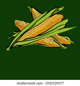 Hand drawn vegetables corn on the cob and sugar beet on green background