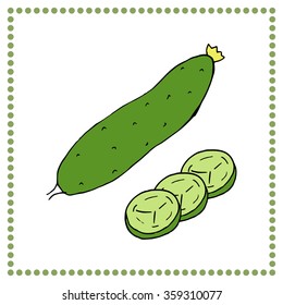 Hand drawn vegetables. Hand drawn cucumber.