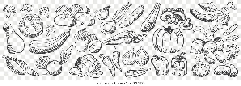 Hand drawn vegetables doodle set. Collection of pencil pen chalk drawing sketches of pepper pumpkin mushrooms eggplant tomato onion garlic and cucumber. Harvesting food and farming illustration.