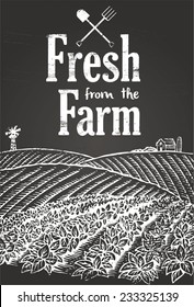 Hand drawn of vegetables farming on chalkboard with text fresh from the farm