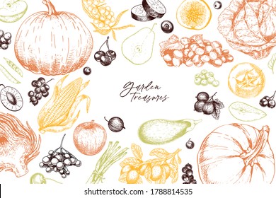 Hand drawn vegetables and fruits. Vector pupkin, pear,apple, artichoke, plum, grape, tomato, onion, cheery, gooseberry blackberry Engraved illustration Menu flyer package design