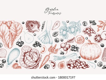 Hand drawn vegetables and fruits. Vector pupkin, pear,apple, artichoke, plum, grape, tomato, onion, cheery, gooseberry blackberry Engraved illustration Menu flyer package design