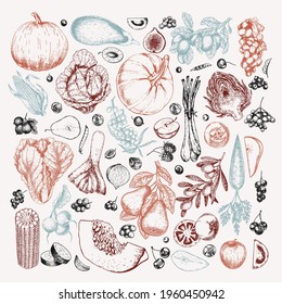 Hand drawn vegetables and fruits. Vector pumpkin, pear,apple, artichoke, plum, grape, tomato, onion, cherry, gooseberry blackberry Engraved illustration Menu flyer package design