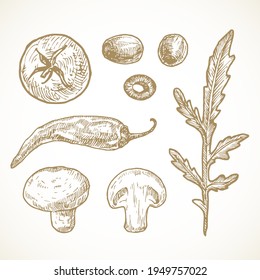Hand Drawn Vegetables and Herbs Vector Illustrations Collection. Tomato, Olives, Pepper, Mushrooms and Arugula Sketches Set. Natural Food Doodles. Isolated.
